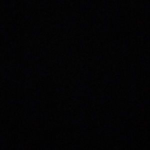 Meet your Posher, Annmarie